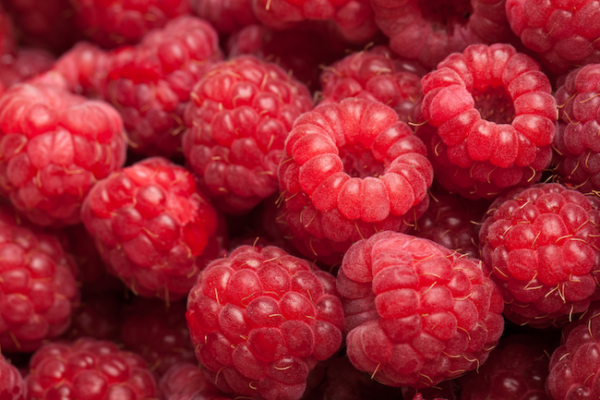 Framboises - La barquette de 125 g